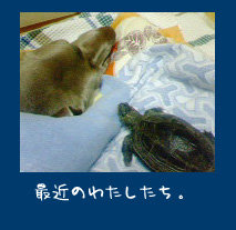 img20060909_1.jpg