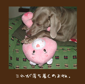 img20091228.jpg