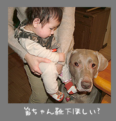 img20080126.jpg