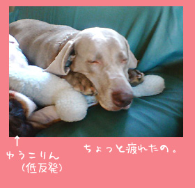 img20060909.jpg