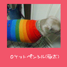img20051120.jpg