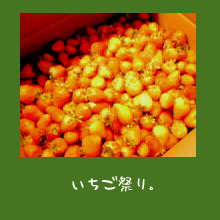 img20051120_1.jpg