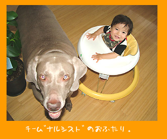 img20080730.jpg
