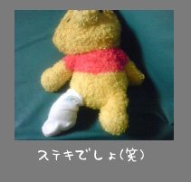 img20080126_1.jpg