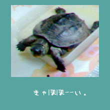 img20060624.jpg