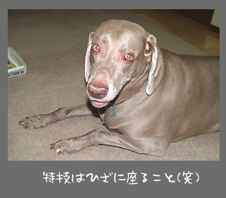 img20091004_1.jpg