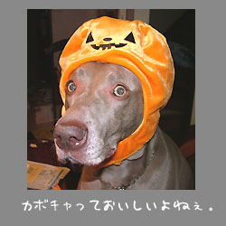 img20061030.jpg