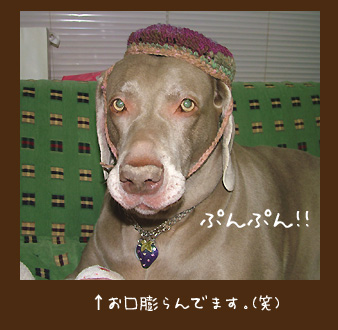 img20100124.jpg
