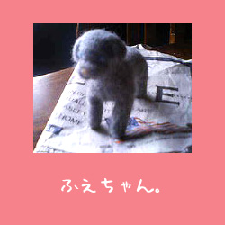 img20050731.jpg