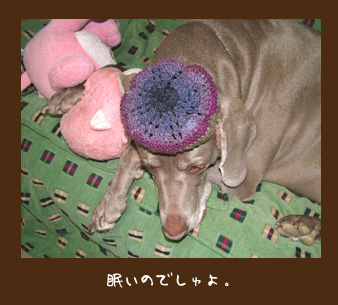 img20100124_1.jpg