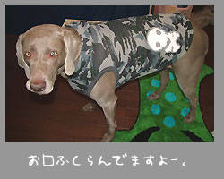 img20070524.jpg