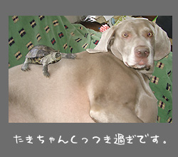 img20090917_1.jpg