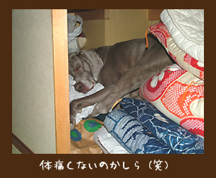 img20100104_1.jpg