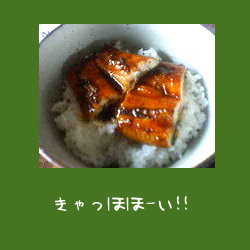 img20050731_1.jpg
