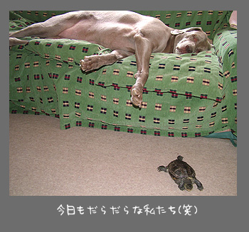 img20090822.jpg