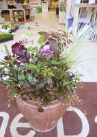 DSCN0647