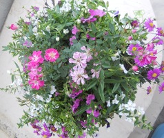 DSCN1275