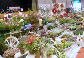 DSCN0629