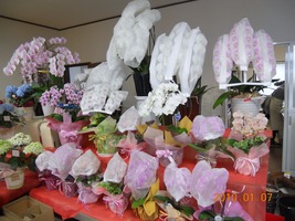 DSCN0591