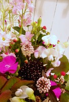 DSCN0655