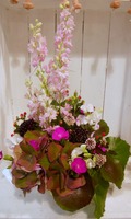 DSCN0653