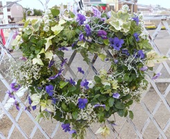 DSCN0853