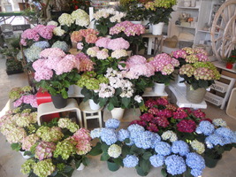 DSCN0576