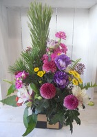 DSCN0974