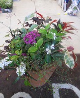 DSCN0634