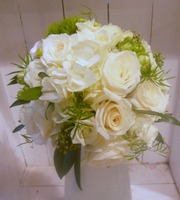 DSCN0875