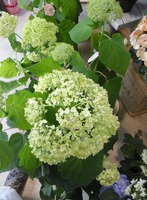 DSCN0624