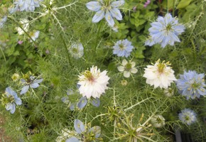 DSCN0637