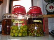 umeshu.jpg