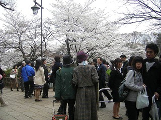 img20080330_1.jpg