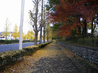 img20071205.jpg