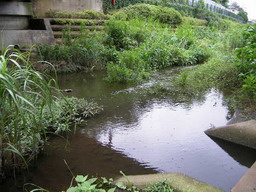 nogawanomizu.jpg