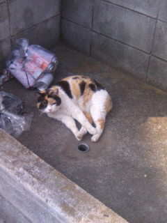img20091216.bmp