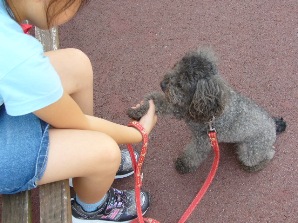 img20071018_7.jpg