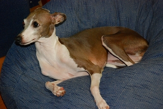 dsc_0127.jpg