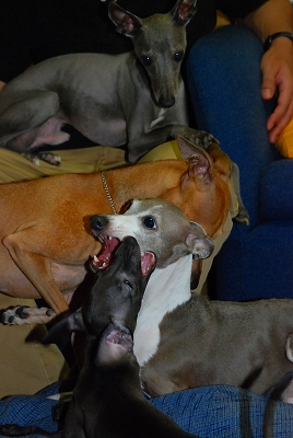 dsc_0119.jpg