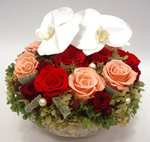 img20081231.jpg