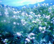 200607251630000.jpg