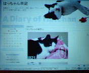 200606212048000.jpg