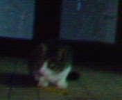200608301909000.jpg