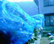 200608011555000.jpg