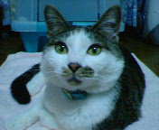 200612281858000.jpg