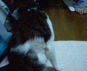 200612281901000.jpg