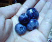 200608171041000.jpg