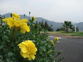 dsc00190.jpg