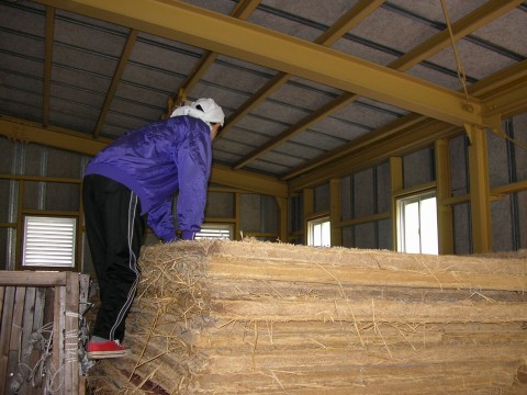 img20060830_1.jpg